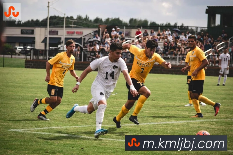 j9游会首页登录荣誉