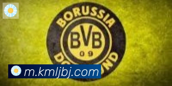 j9游会首页登录合作伙伴