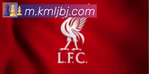 j9游会首页登录合作伙伴